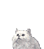 e9a158eb93fe283b08ac871d2ec726c4.gif