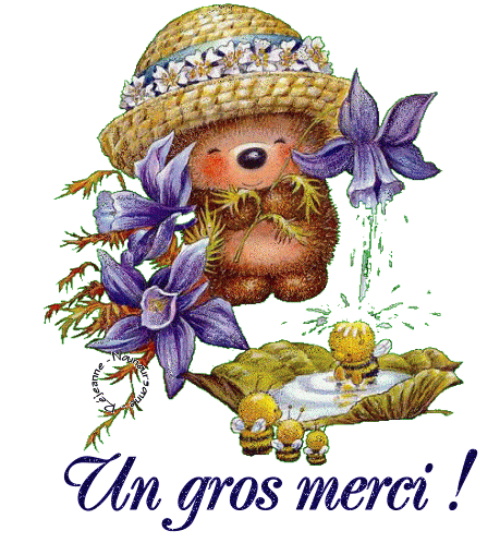 merci1 (un gros).gif