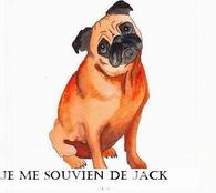 onrange pug.JPG