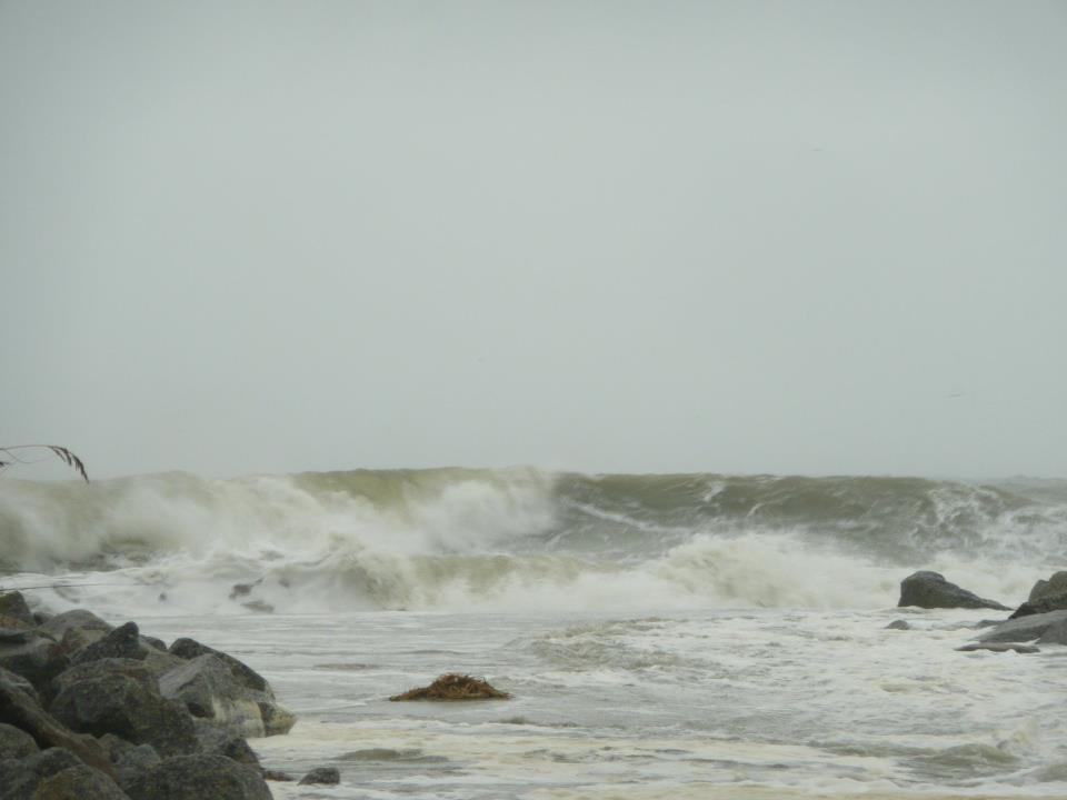 irene.jpg