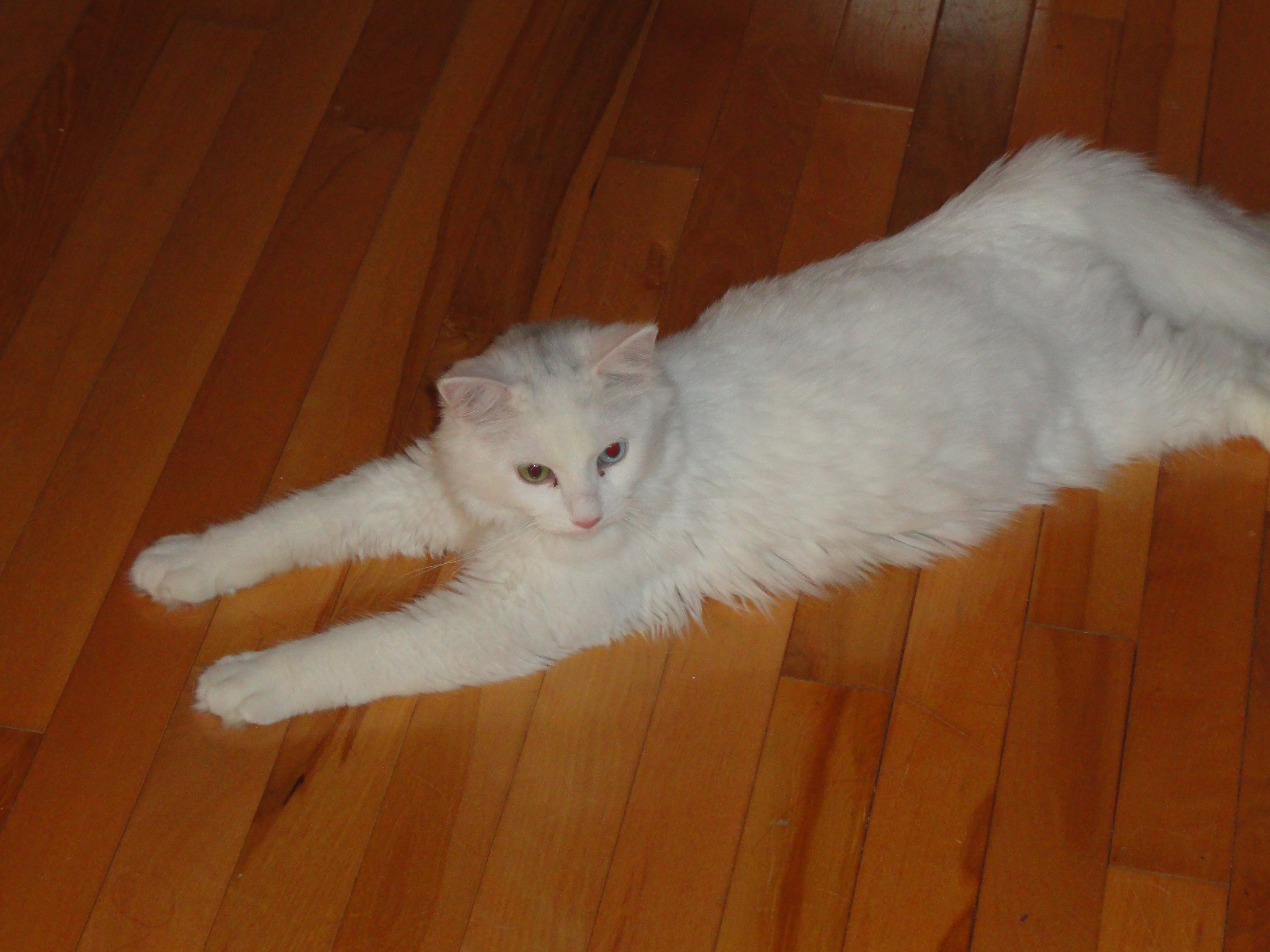 DSC01263.JPG