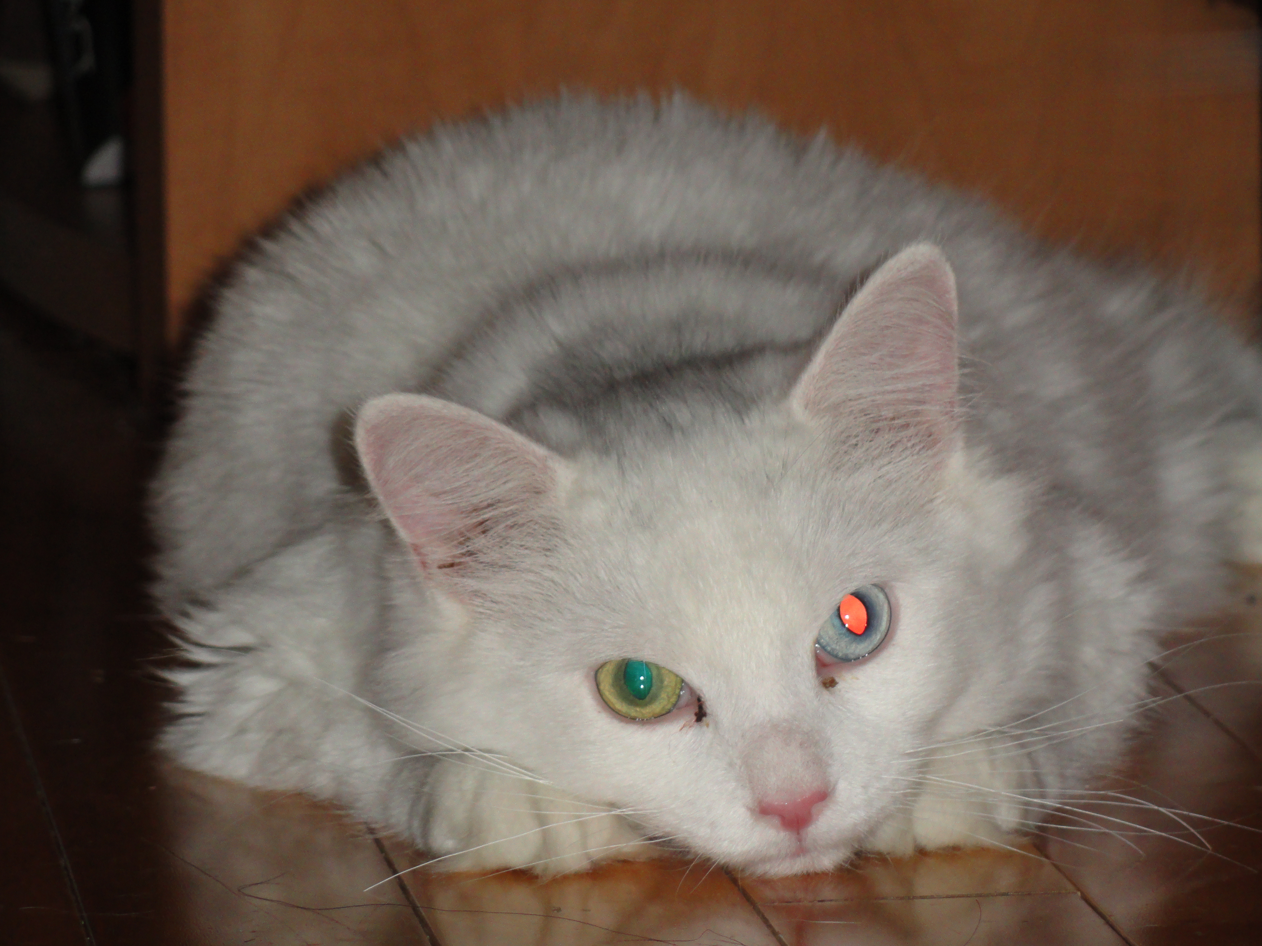 DSC01268.JPG
