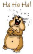 2275789063.gif