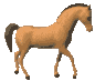 2176cheval037.gif