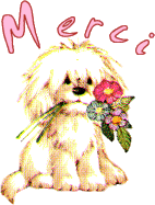 mercichien.gif