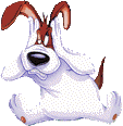chien faché bruit.gif
