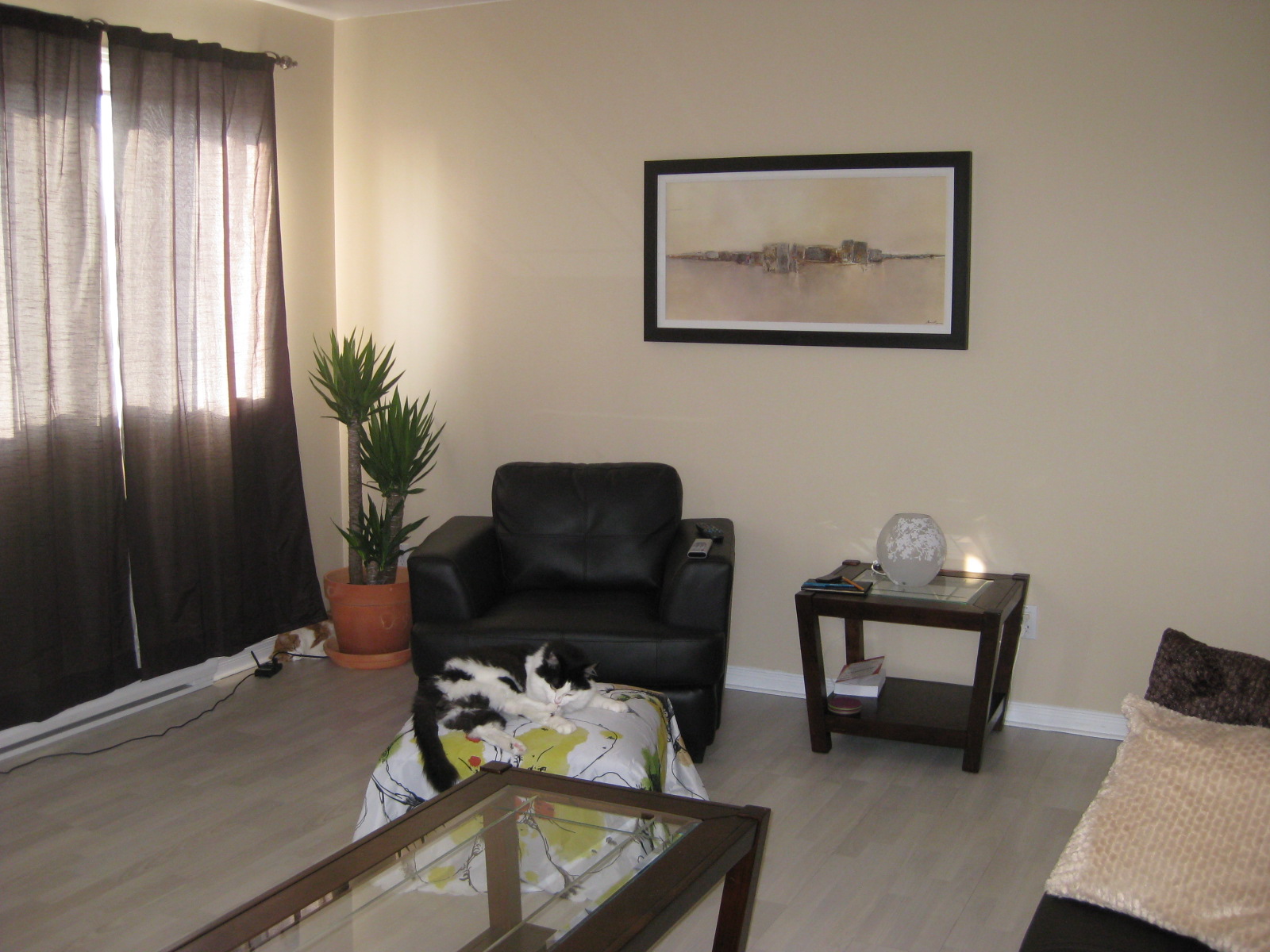 Appartement 2009 007.JPG