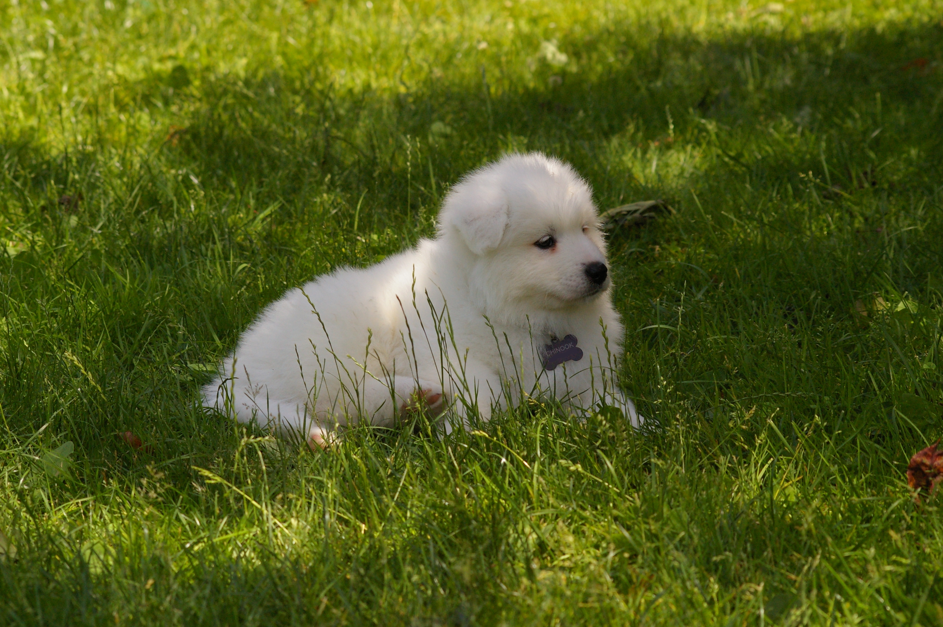IMGP6212.JPG