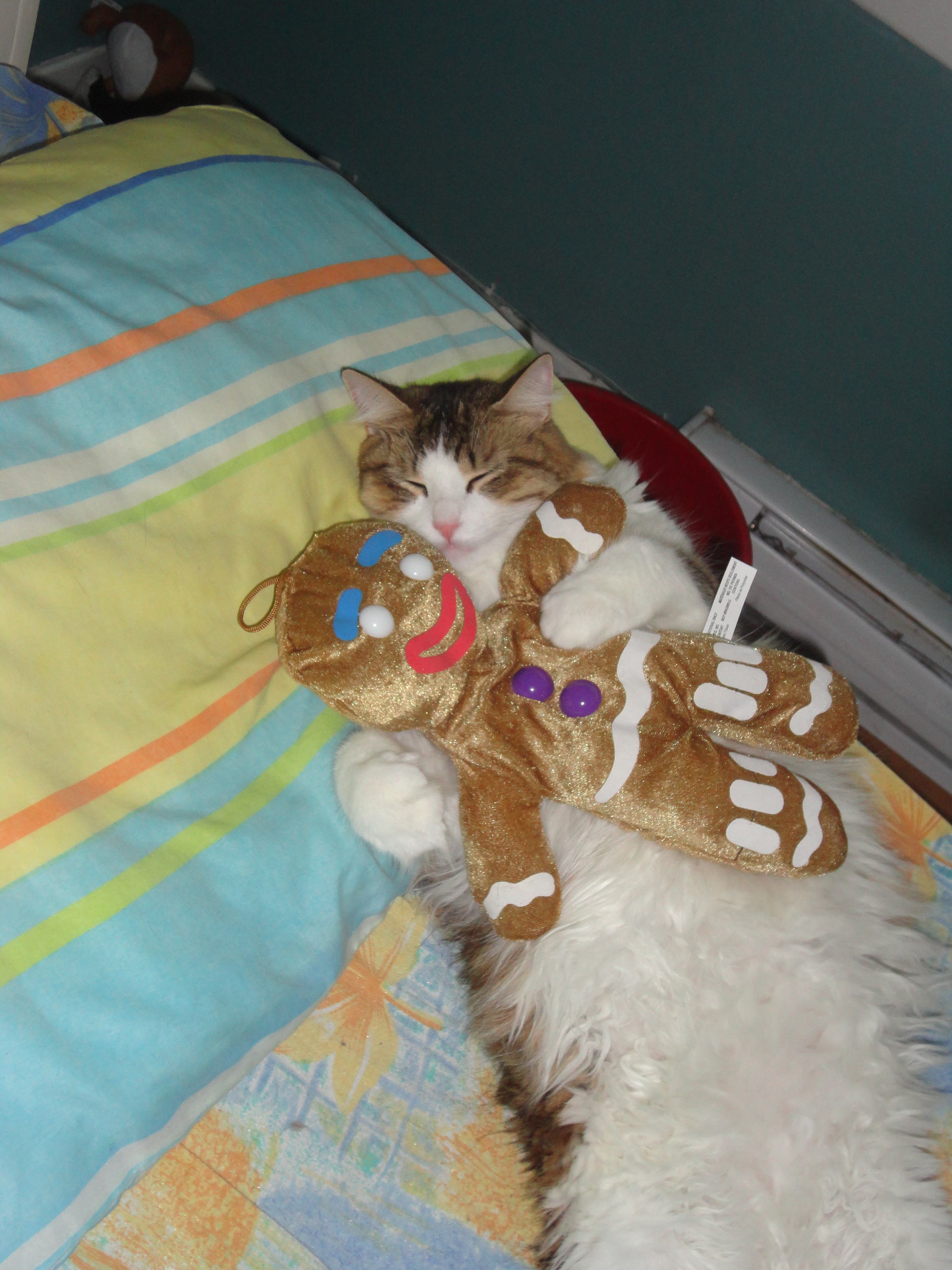 DSC02109.JPG