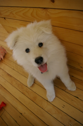 IMGP6331.JPG