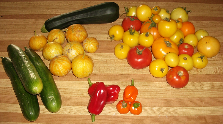 Récolte - 18 août 2012.png