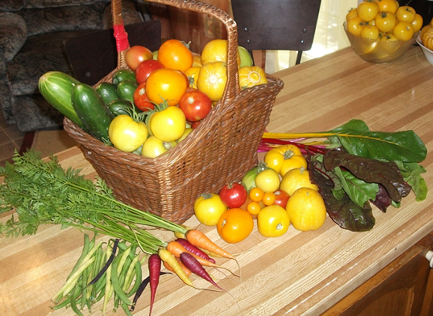 Récolte - 3 septembre 2012.png