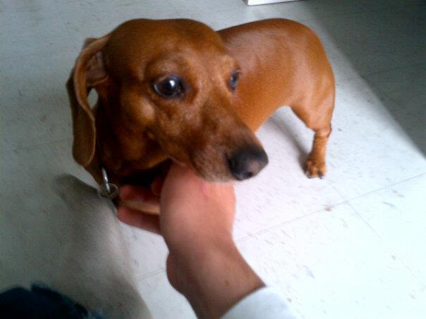 daisy.jpg