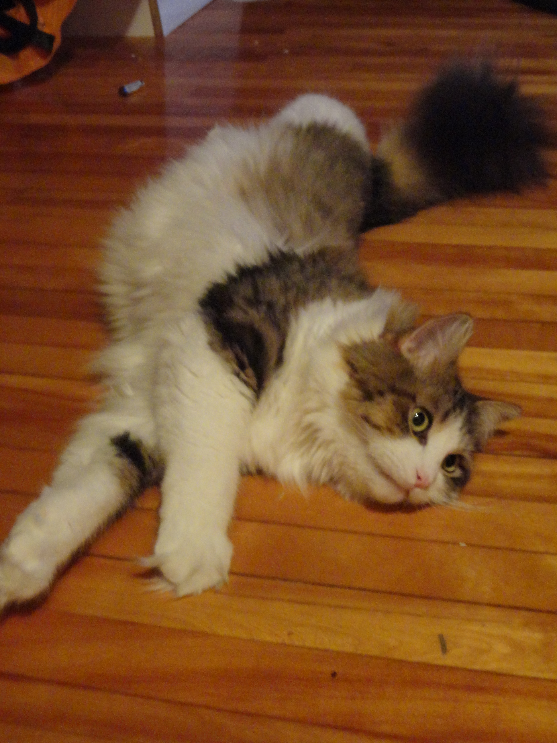 DSC02294.JPG