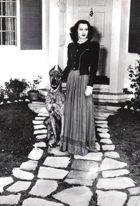 hedy lamarr4.jpg