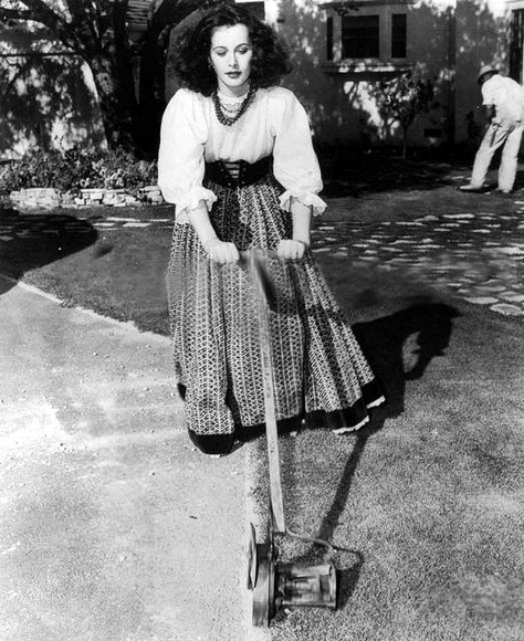 hedy lamarr7.jpg