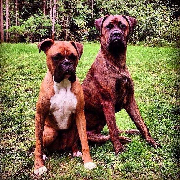 ImageUploadedByDomaine Bleu1381508350.987587.jpg