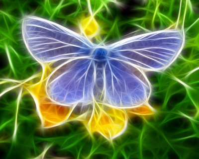 3D Wallpapers-Butterfly.jpg