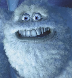 Yeti_Close_Up.jpg
