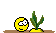 0013.gif