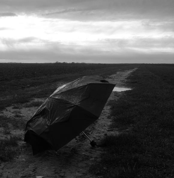 parapluie.jpg