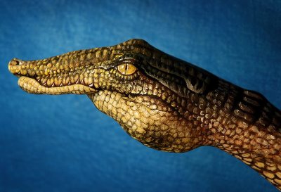 hand_painting_06.jpg