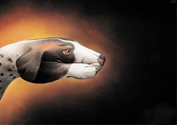 painted_hand_schroeders_dog.jpg