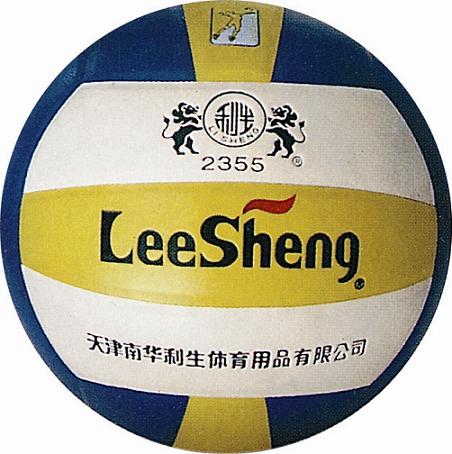 Volleyball-2355-.jpg