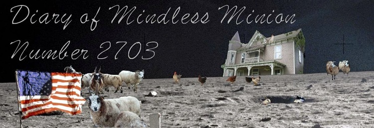 diaryofmindlessminionnumber2705.jpg