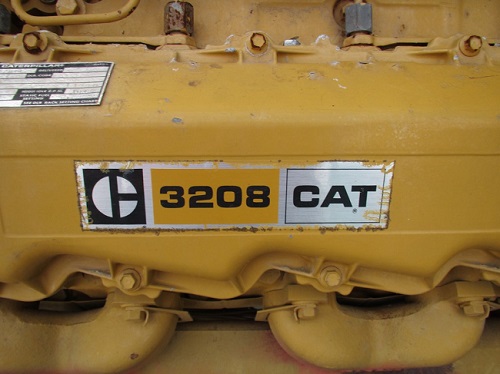 mini-CAT-010.jpg