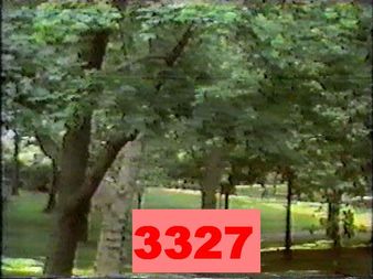 3327.jpg