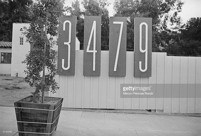 3143563.jpg