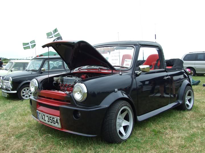 TAZ3564.jpg