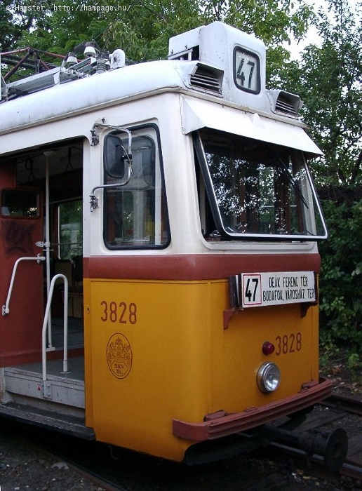 3828.jpg