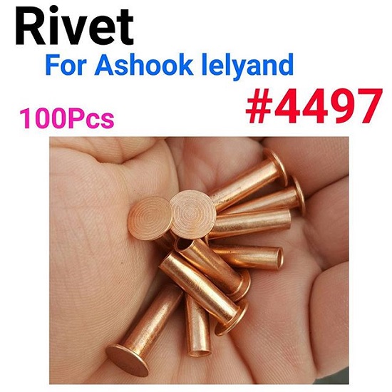4497.jpg