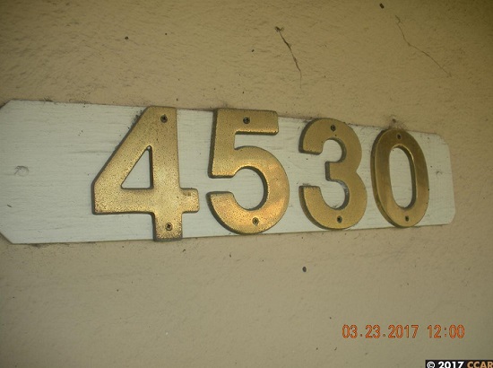 4530-2.jpg