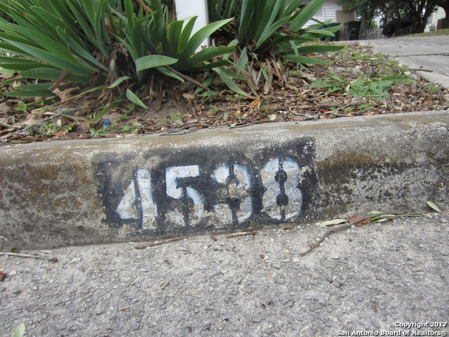 4538-2.jpg