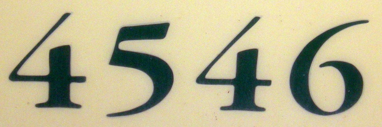 4546.jpg