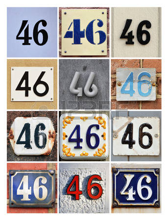 4646.jpg