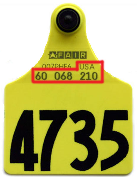 4735-1.jpg
