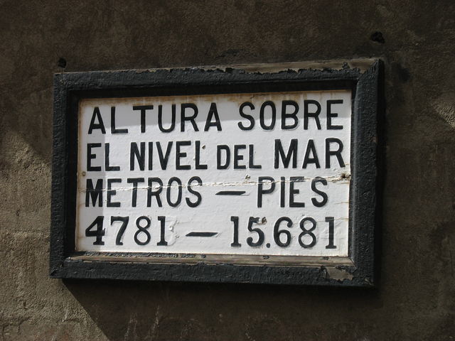 4781.jpg