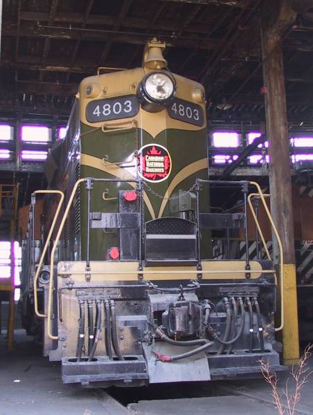 4803.jpg
