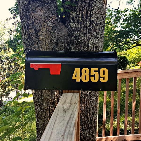 4859.jpg