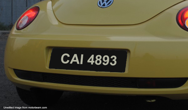 4893.jpg