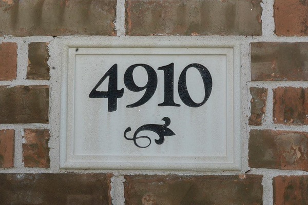 4910.jpg