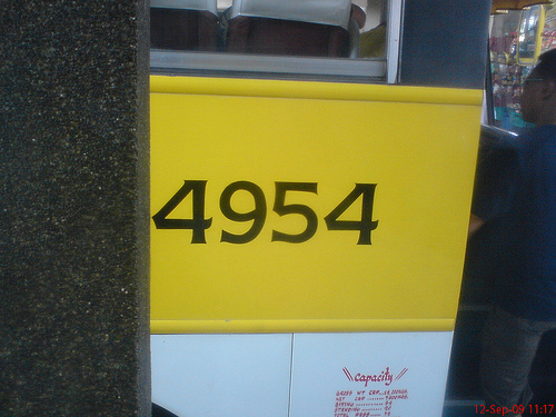 4954.jpg