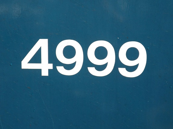 4999.jpg
