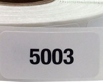 5003.jpg