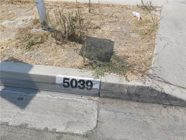 5039.jpg