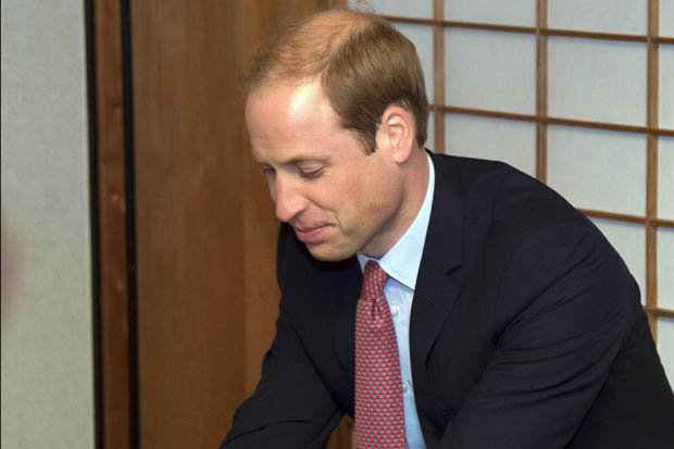 wills-427827.jpg